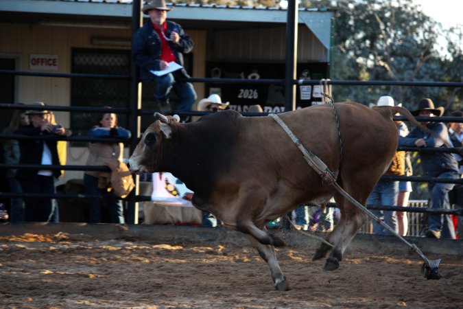 Bucking Bulls Australia Event