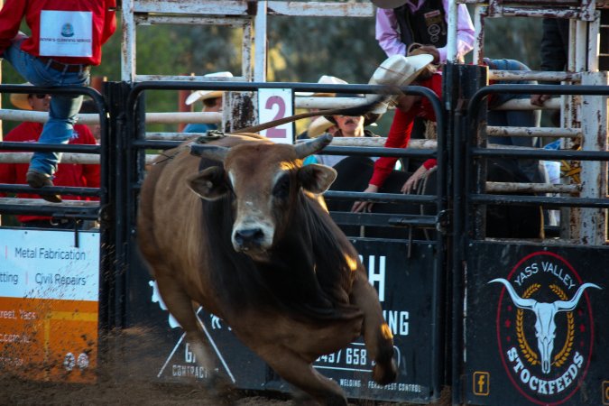Bucking Bulls Australia Event