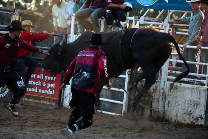 Bucking Bulls Australia Event