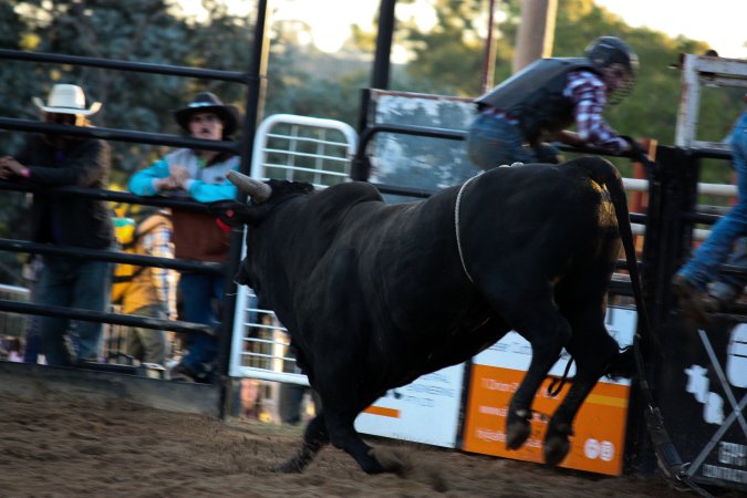 Bucking Bulls Australia Event