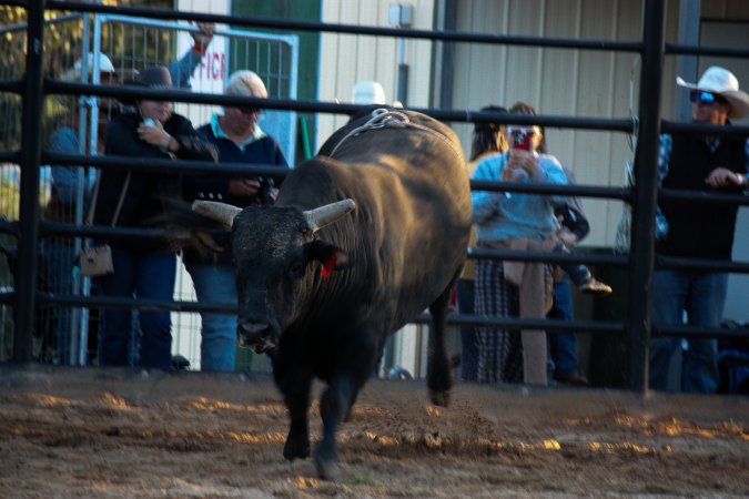 Bucking Bulls Australia Event