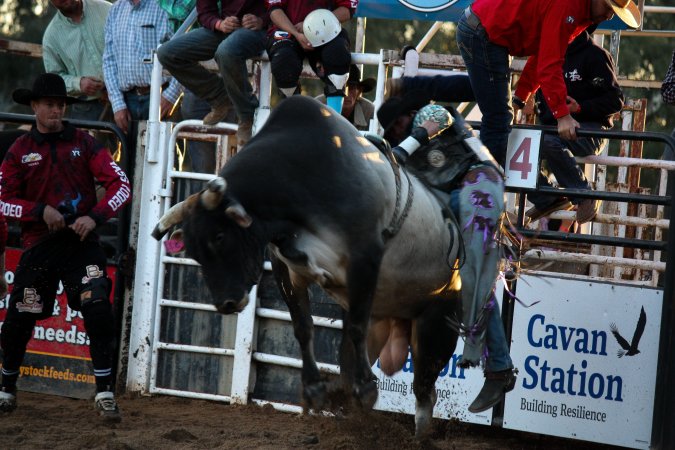 Bucking Bulls Australia Event