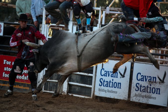 Bucking Bulls Australia Event