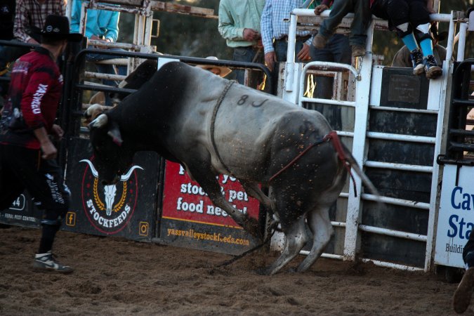 Bucking Bulls Australia Event