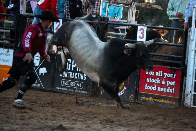 Bucking Bulls Australia Event