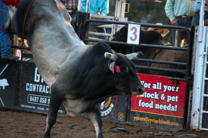 Bucking Bulls Australia Event
