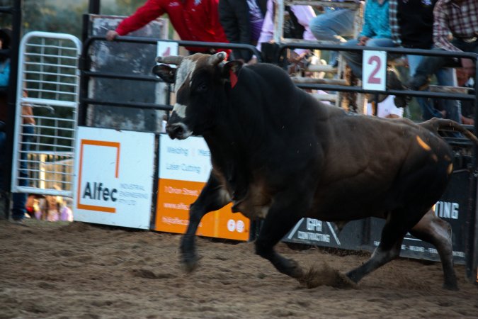 Bucking Bulls Australia Event