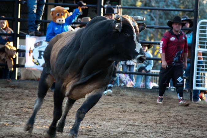 Bucking Bulls Australia Event