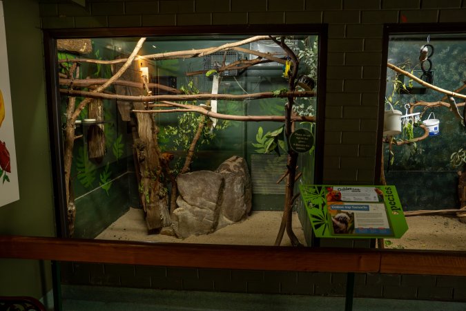 Tamarin enclosure at Adelaide Zoo
