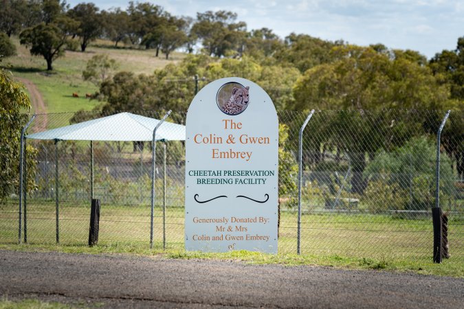 Cheetah preservation breeding facility
