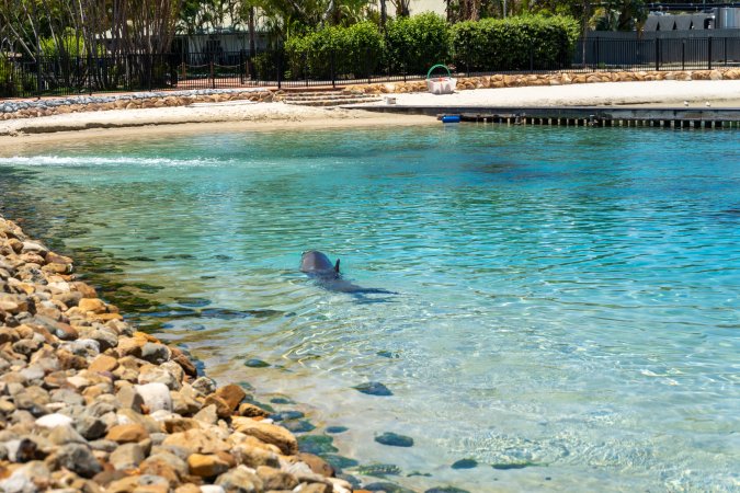 Dolphin enclosures at Sea World