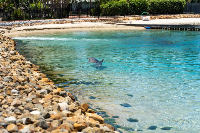 Dolphin enclosures at Sea World