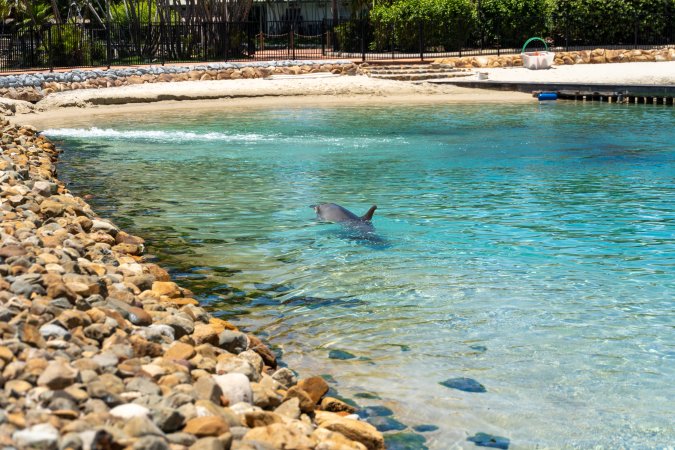 Dolphin enclosures at Sea World