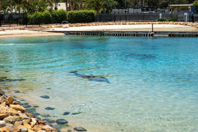 Dolphin enclosures at Sea World