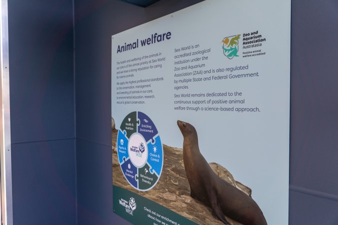 'Animal welfare' sign at Sea World