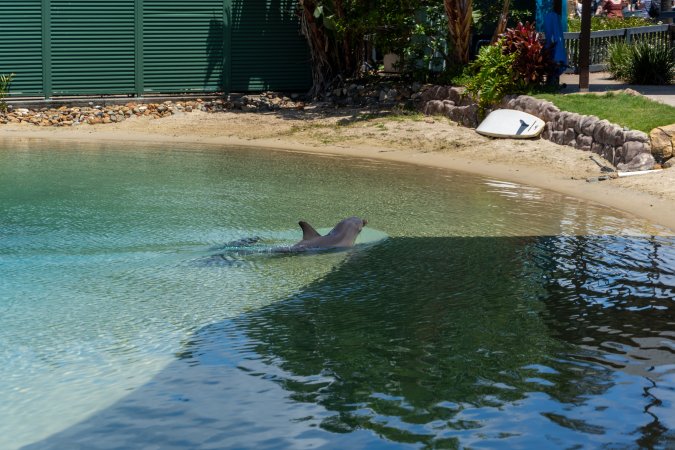 Dolphin enclosures at Sea World