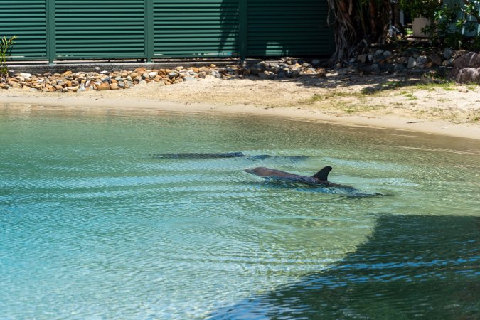 Dolphin enclosures at Sea World