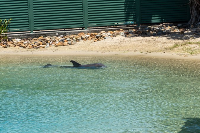 Dolphin enclosures at Sea World