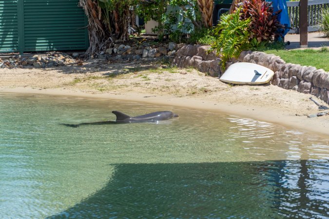 Dolphin enclosures at Sea World