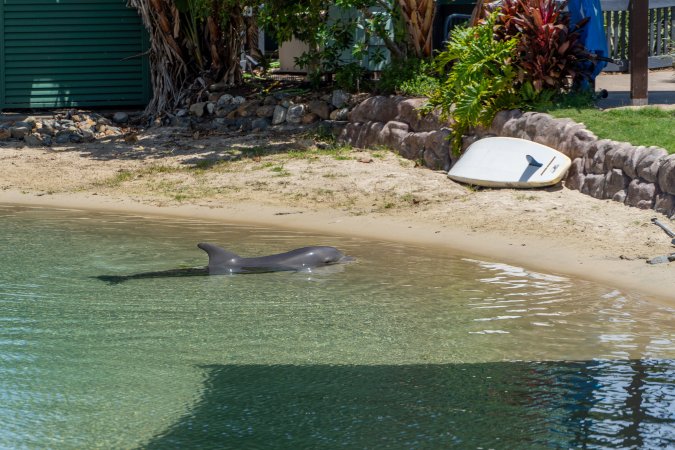 Dolphin enclosures at Sea World