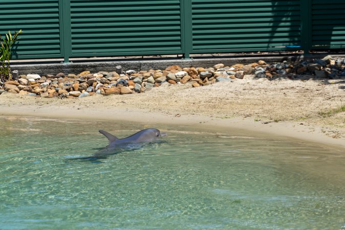 Dolphin enclosures at Sea World