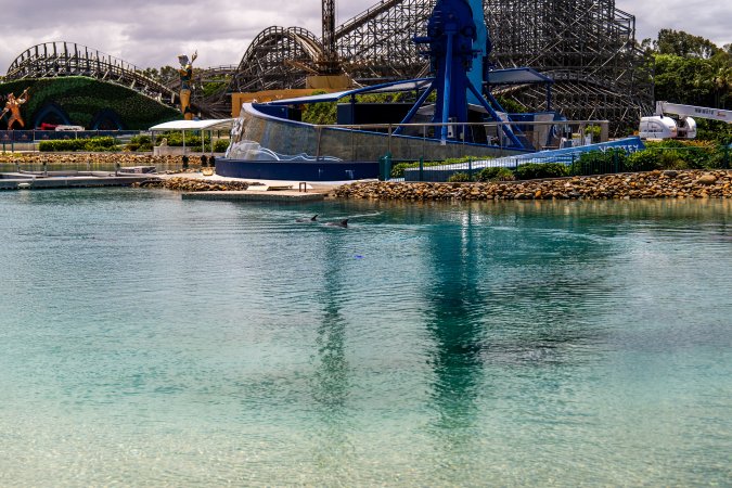 Dolphin enclosures at Sea World