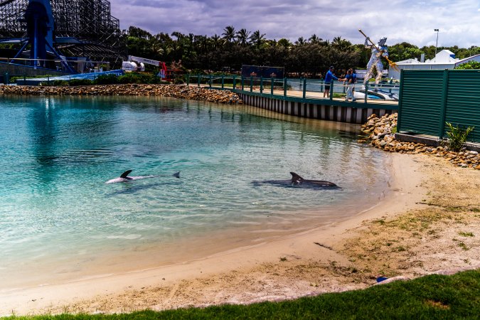 Dolphin enclosures at Sea World