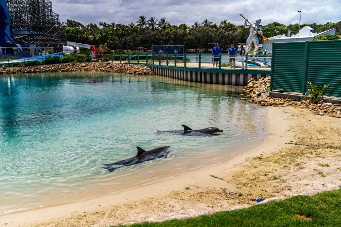 Dolphin enclosures at Sea World