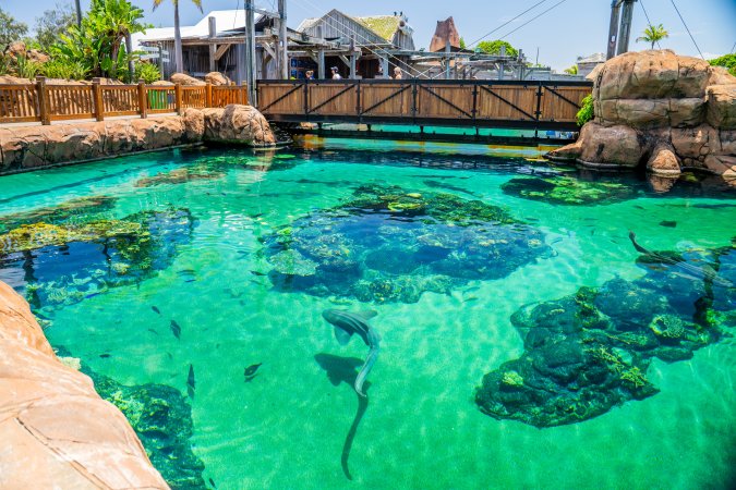 Aquarium at Sea World, from above