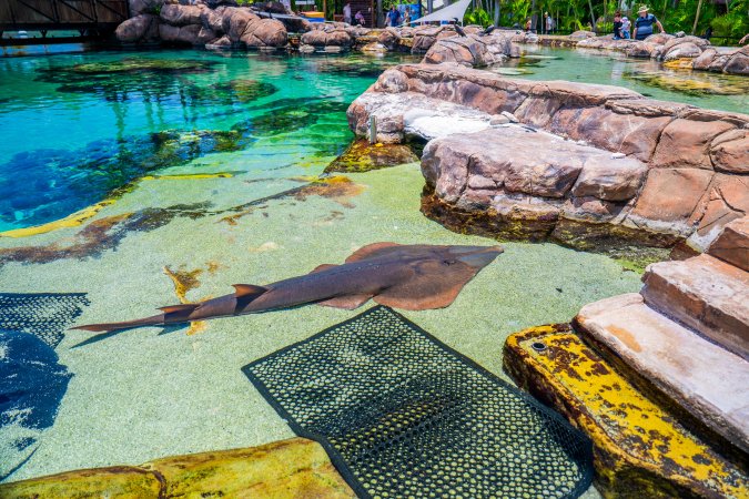Aquarium at Sea World, from above