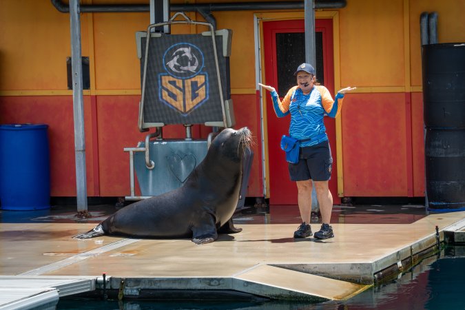 Seal show at Sea World