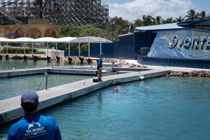 Dolphin enclosures at Sea World