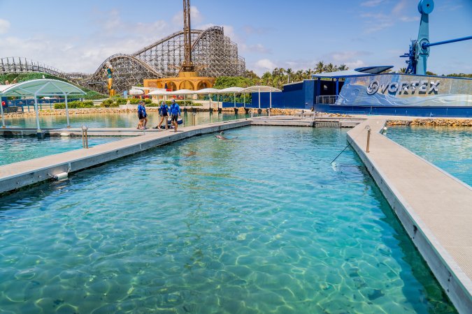 Dolphin enclosures at Sea World