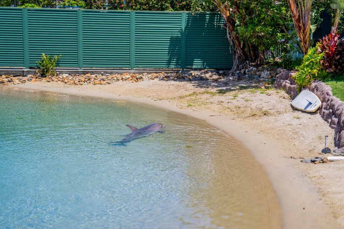 Dolphin enclosures at Sea World