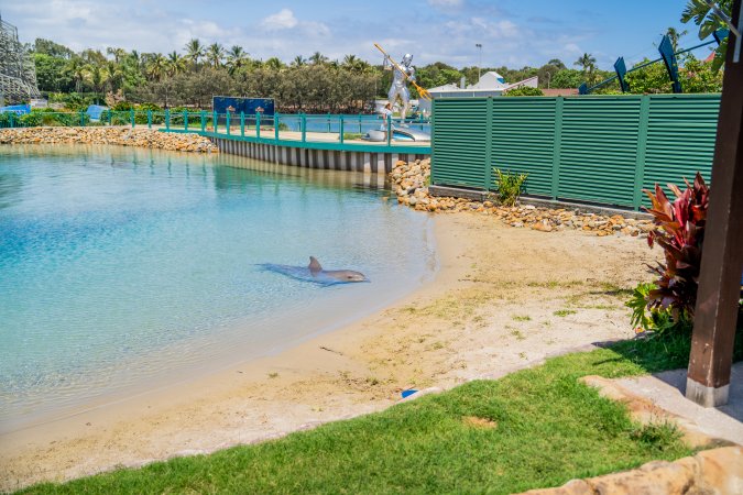 Dolphin enclosures at Sea World