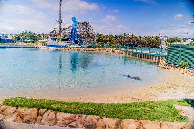 Dolphin enclosures at Sea World