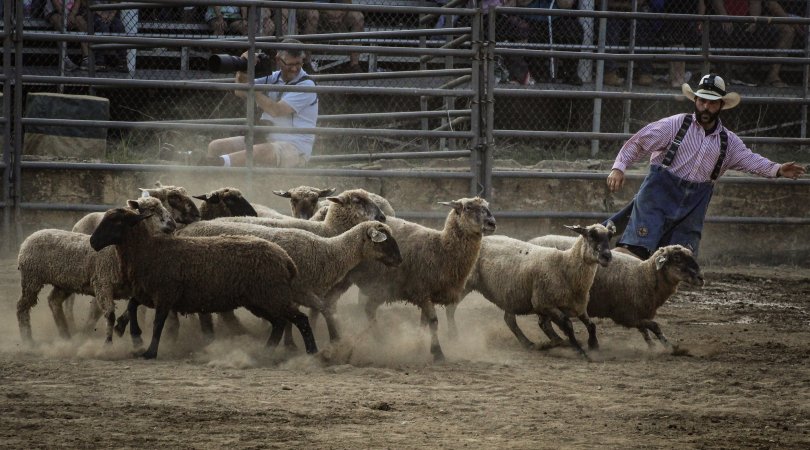 Warren County Farmers' Fair & Balloon Festival 2019