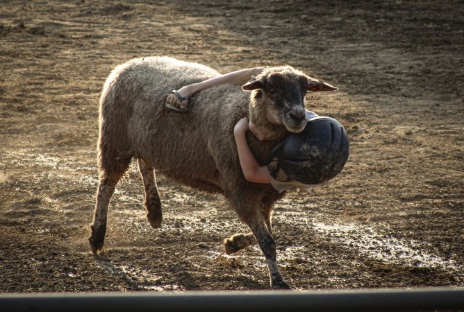Warren County Farmers' Fair & Balloon Festival 2019