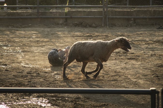 Warren County Farmers' Fair & Balloon Festival 2019
