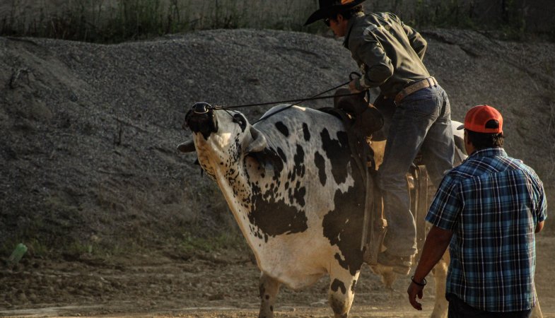 Warren County Farmers' Fair & Balloon Festival 2019