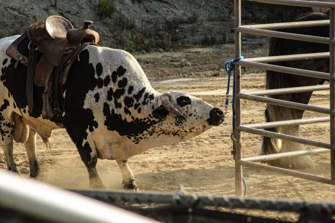 Warren County Farmers' Fair & Balloon Festival 2019