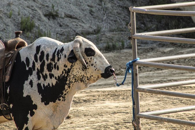 Warren County Farmers' Fair & Balloon Festival 2019