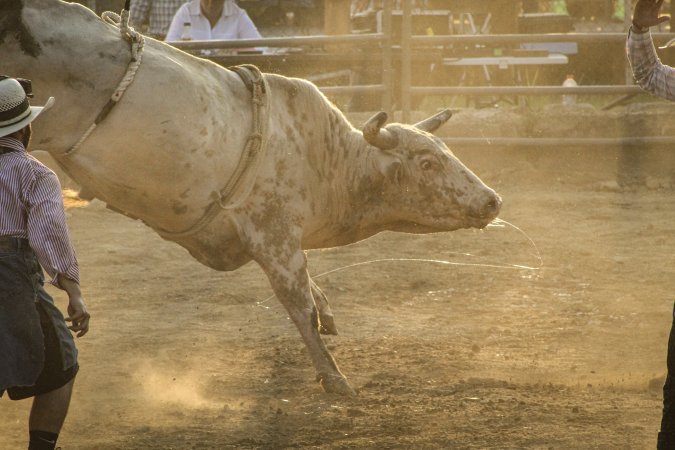 Warren County Farmers' Fair & Balloon Festival 2019