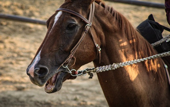 Warren County Farmers' Fair & Balloon Festival 2019