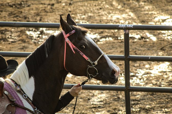 Warren County Farmers' Fair & Balloon Festival 2019
