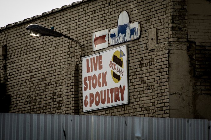 American Halal Meats August 1st 2019