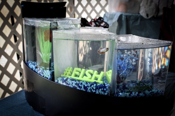 Somerset County 4-H Fair 2019