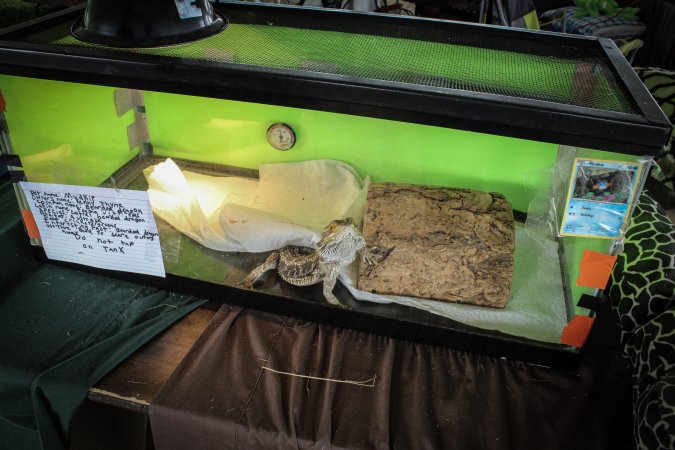 Somerset County 4-H Fair 2019