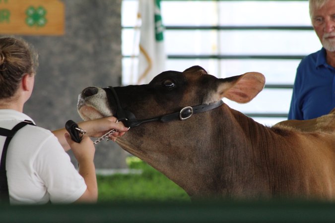 Somerset County 4-H Fair 2019