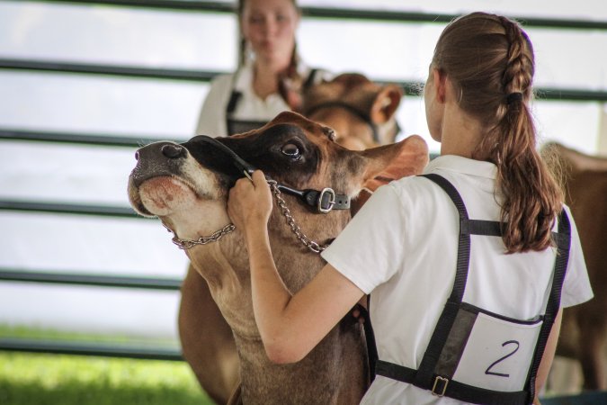 Somerset County 4-H Fair 2019
